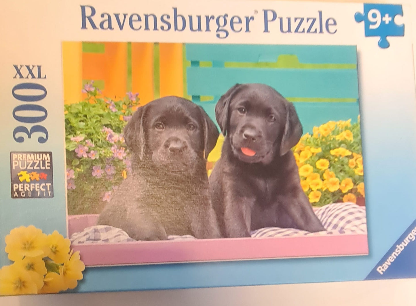 Puzzle Catelusi, 300 Piese - Ravensburger